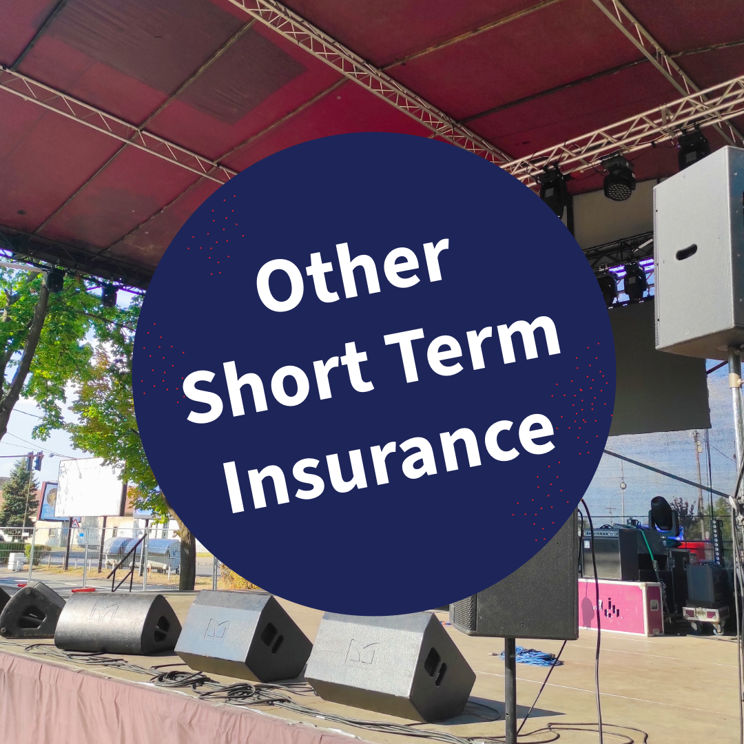 Other Short Term Insurance